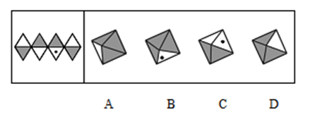 D5