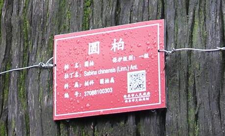 “古樹名木身份證”有助于精細化保護
