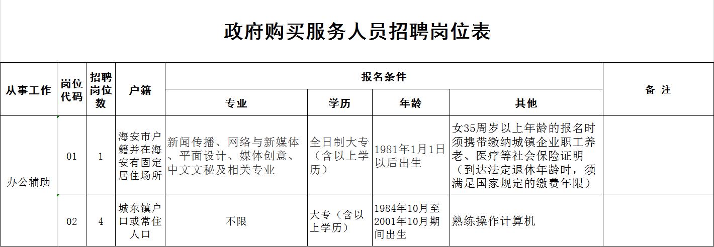 政府購買服務(wù)人員招聘崗位表