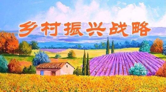 鄉(xiāng)村振興的“進”與“礙”