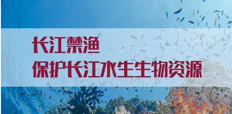 長江禁漁