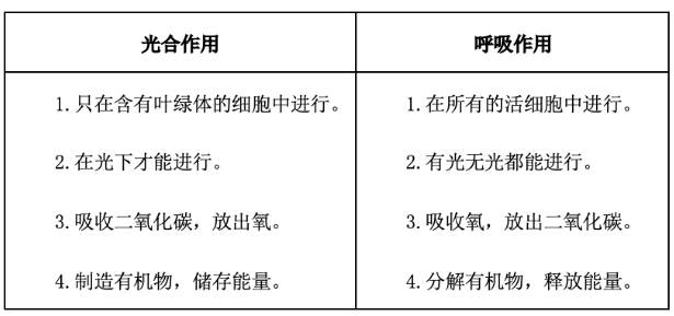 呼吸作用