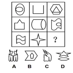 數(shù)量類(lèi)