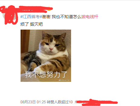 電線桿1